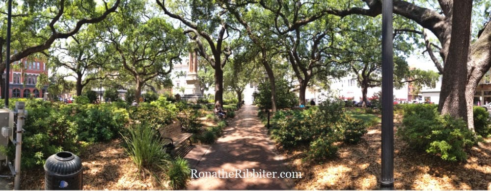 Road Trip Safety tips, Savannah, GA park