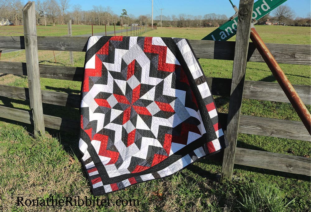 Stargazer Pattern Stargazer Quilt Pattern | Rona the Ribbiter