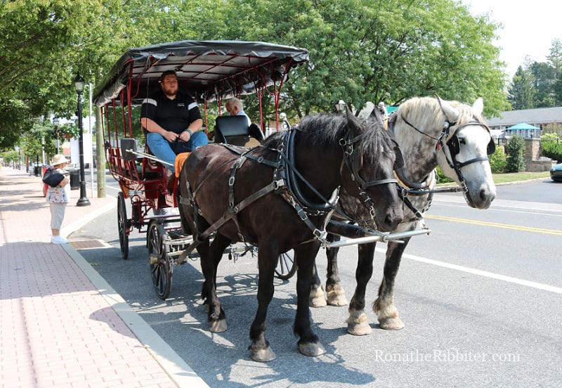 Gettysburg Battlefield Carriage Tour