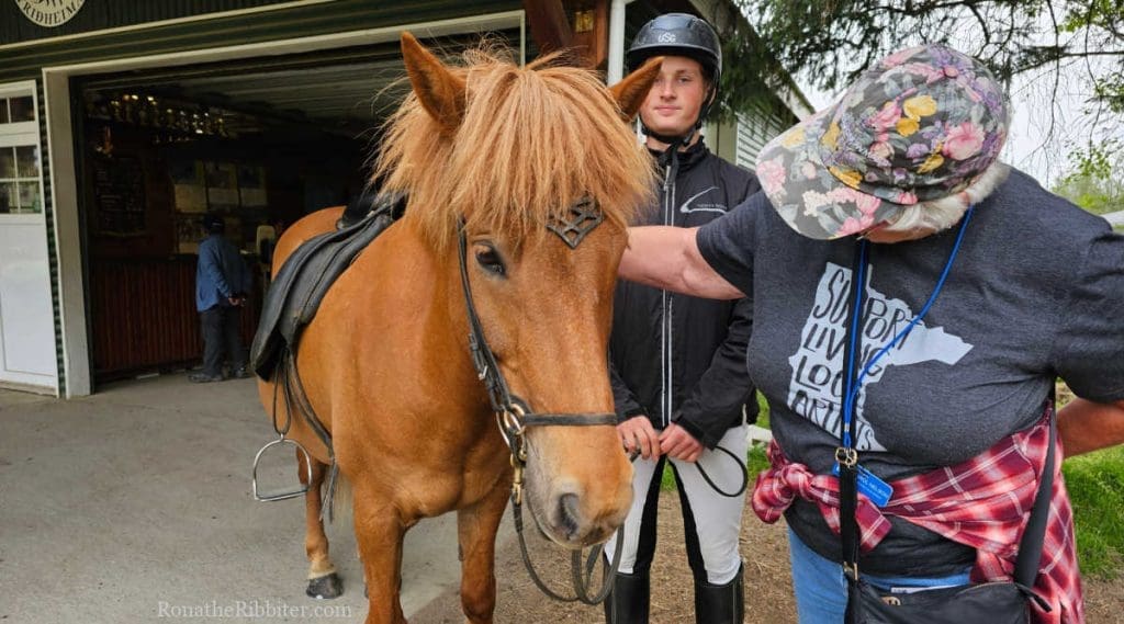 Icelandic Horse | Rona the Ribbiter