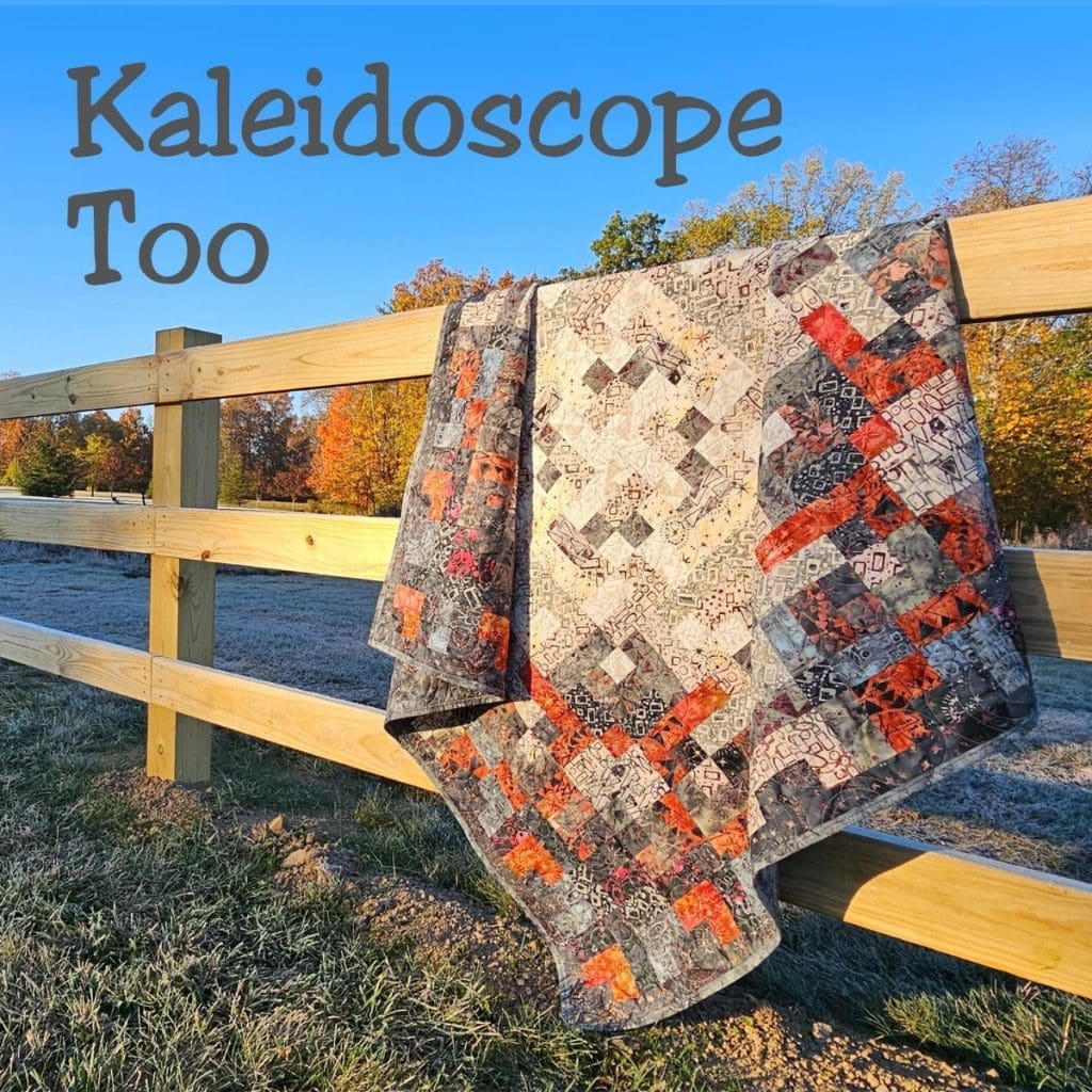 Kaleidoscope Too Quilt Pattern Rona the Ribbiter